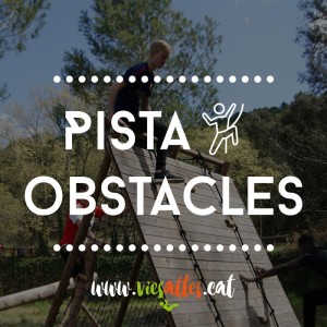 Vies Altes parc aventura pista obstacles obstáculos Porrera Priorat